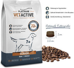 Platinum Pet Food & Care Vetactive Senior 10kg