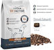 Platinum Pet Food & Care Vetactive Senior 10kg Trockenfutter ohne Gluten für ältere Hunde mit Huhn und Fleisch
