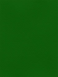 Favini Χαρτόνι 50x70εκ. Πράσινο