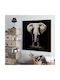 Elephant Πίνακας Υφασμάτινος 100x100cm