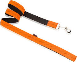 Pet Interest Dog Leash/Lead Strap Soft Stripe i...