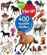 Eyelike, Horses