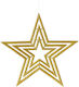 Iliadis Plastic Christmas Decorative Pendant Star 40cm Gold