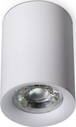 Geyer Single Spot with Socket GU10 in White Color