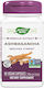Nature's Way Ashwagandha 500мг 60 вегетариански капсули