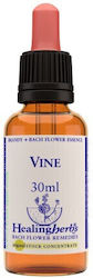 Healing Herbs Vine Ανθοΐαμα σε Σταγόνες 30ml