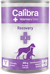 Calibra VD Dog & Cat Recovery Umedă pentru Câini Câine în Conservă 1 x 400gr.