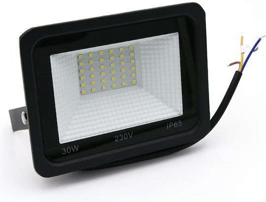 Adeleq Στεγανός Προβολέας LED 30W Φυσικό Λευκό 4000K IP65