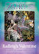 Fairy Tarot Cards, Палуба със 78 карти и ръководство