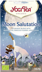 Yogi Tea Moon Salutation Eucalyptus Organic Product 17 Bags 34gr