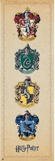 Grupo Erik Kids Poster Harry Potter 53x158cm