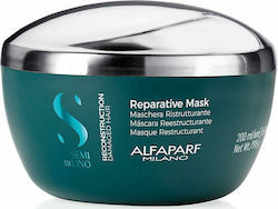 Alfaparf Milano Professional Semi di Lino Recon...