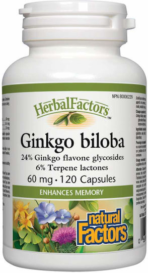 Natural Factors Ginkgo Biloba 60мг 120 капси