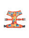Dashi Dog Harness Vest Terracotta Orange Medium 3.4mm x 48-62cm DNM00202