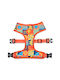 Dashi Dog Harness Vest Terracotta Orange X-Large 75-107cm DNM00204