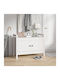 Entry Furniture with Shoe Rack & Bench 80x40x60cm