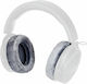BeyerDynamic EDT 900 Pro X Perne de Schimb pentru Căști 43000232