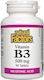 Natural Factors Vitamin B3 Vitamin for Nervous System Health 500mg 90 Tablets