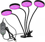 Επιτραπέζιο Grow Light με LED και Ισχύ 240W με 4 Λάμπες 360°