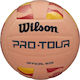 Wilson Pro Tour Волейболна топка На закрито No.5