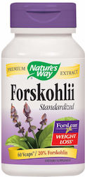 Nature's Way Forskohlii 250mg 60 φυτικές κάψουλες