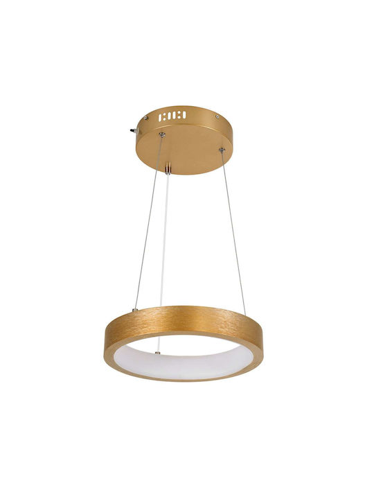 GloboStar Nemesis Hängelampe LED mit Warm zu kühlem Weiß Licht Gold