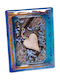 Kallisti Glass Glass Picture Frame with Light Blue Frame