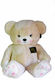 Plush Toy Bear Big 60 cm