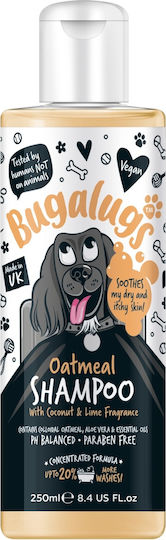 Bugalugs Bugalugs Oatmeal Coconut + Lime Σαμπουάν Σκύλου 250ml