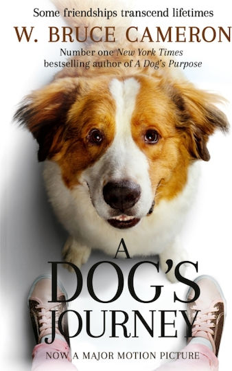 A Dog's Journey A Dog's Journey