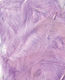 Artemio Lilac Craft Wing