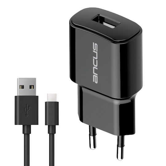 Ancus Charger with USB-A Port and Cable USB-C 10W Black (C60)