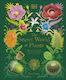 The Secret World of Plants