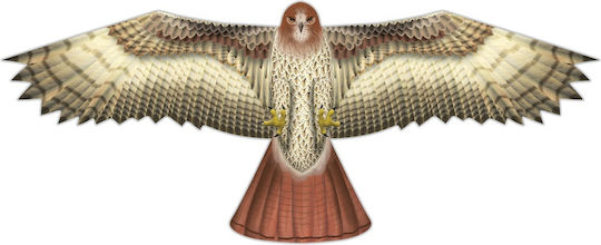 Elliot Хвърчило Ready to Fly Birds of Prey Тъкан с Опашка & Въже 1бр