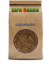 Karpomania Mint 100gr K- 10056 -a