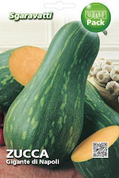 Sgaravatti Gigante Di Napoli Seeds Pumpkinς Zucchini 5gr