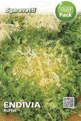 Sgaravatti Ruffec Seeds Endive (Cichorium) 100gr