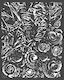 Stamperia Στένσιλ Σχεδίων Ice and Shells 20x25cm
