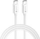 Forcell Regular USB 2.0 Cablu USB-C bărbătesc - USB-C 100W Alb 2m