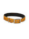Glee Neoprene Dog Collar in Orange color XXLarge 25mm x 66cm