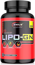 Genius Nutrition Lipo Gn 90 Capsule Genius Nutrition Lipo Gn 90 Capsule