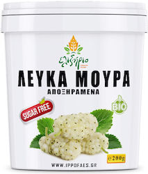 Ελιξήριο Βιολογικά Mulberries Χωρίς Ζάχαρη 200gr