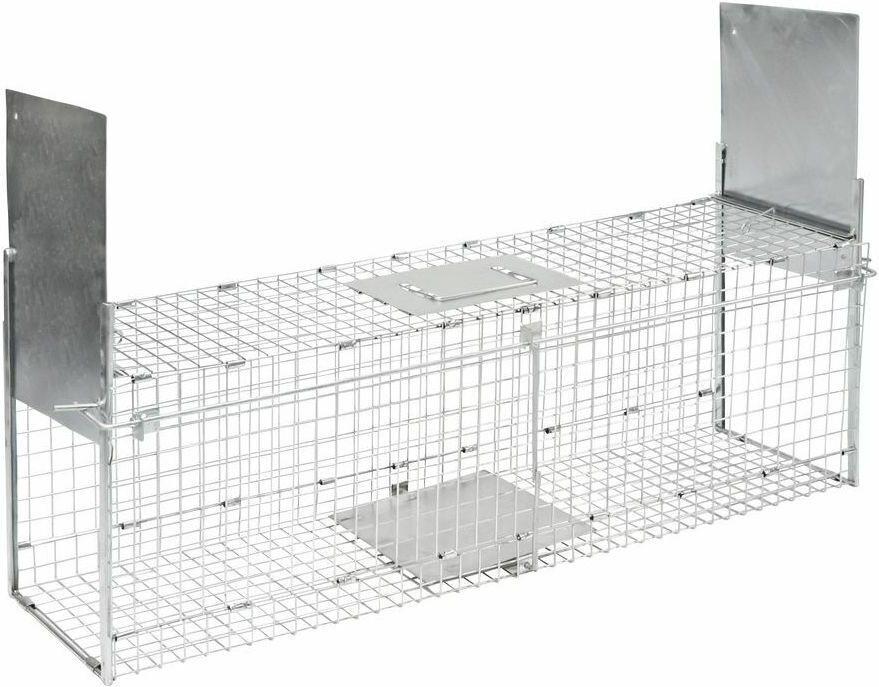 Ecoflex cage online