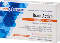 Viogenesis Brain Active 30 Comprimate Viogenesis Brain Active 30 Comprimate