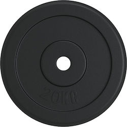 vidaXL Δίσκος Μεταλλικός 1 x 20kg Φ30mm