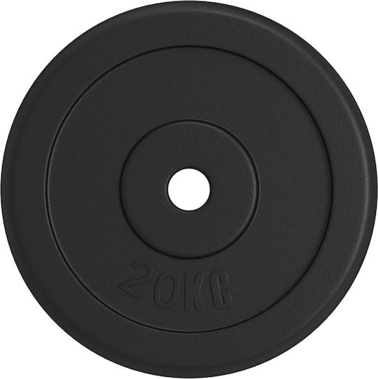 vidaXL Δίσκος Μεταλλικός 1 x 20kg Φ30mm