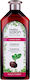 Venita Black Turnip Shampoos gegen Haarausfall für Zerbrechlich Haare 500ml