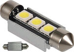 Becuri Mașini C5W 36mm Canbus LED Alb rece 12V 1buc