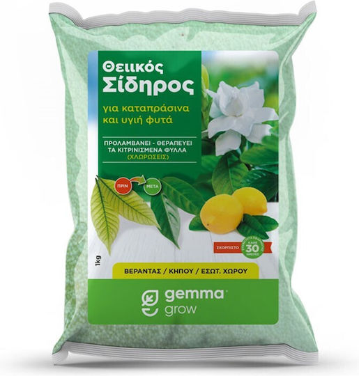 Gemma Тор Сяра, Желязо за Цъфтящи растения 2kg