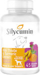 Bio Petactive Silycumin Milk Thistle & Turmeric LB Συμπλήρωμα Διατροφής Σκύλου σε Δισκία 45 tabs